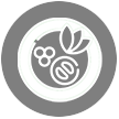 غذا روز